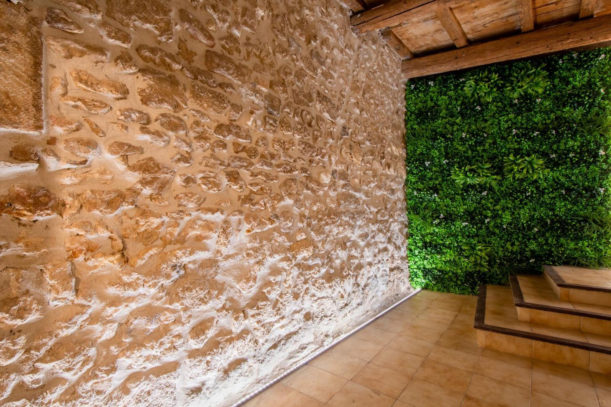 Nouveau Jungle Village Wifi Netflix Clim Apartment Mauguio